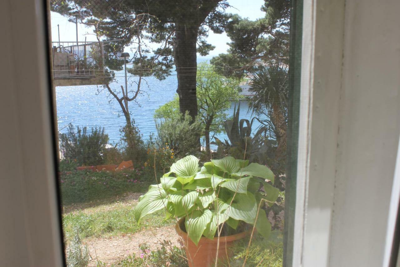 אומיס Apartman Tafra מראה חיצוני תמונה