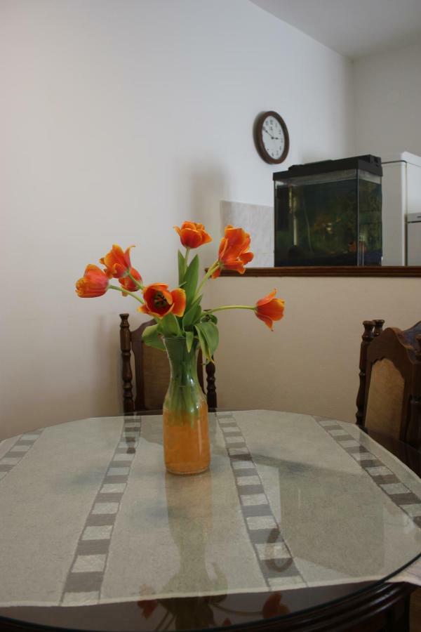 אומיס Apartman Tafra מראה חיצוני תמונה